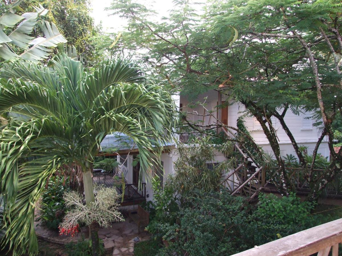 Bluebelize B&B Punta Gorda Buitenkant foto