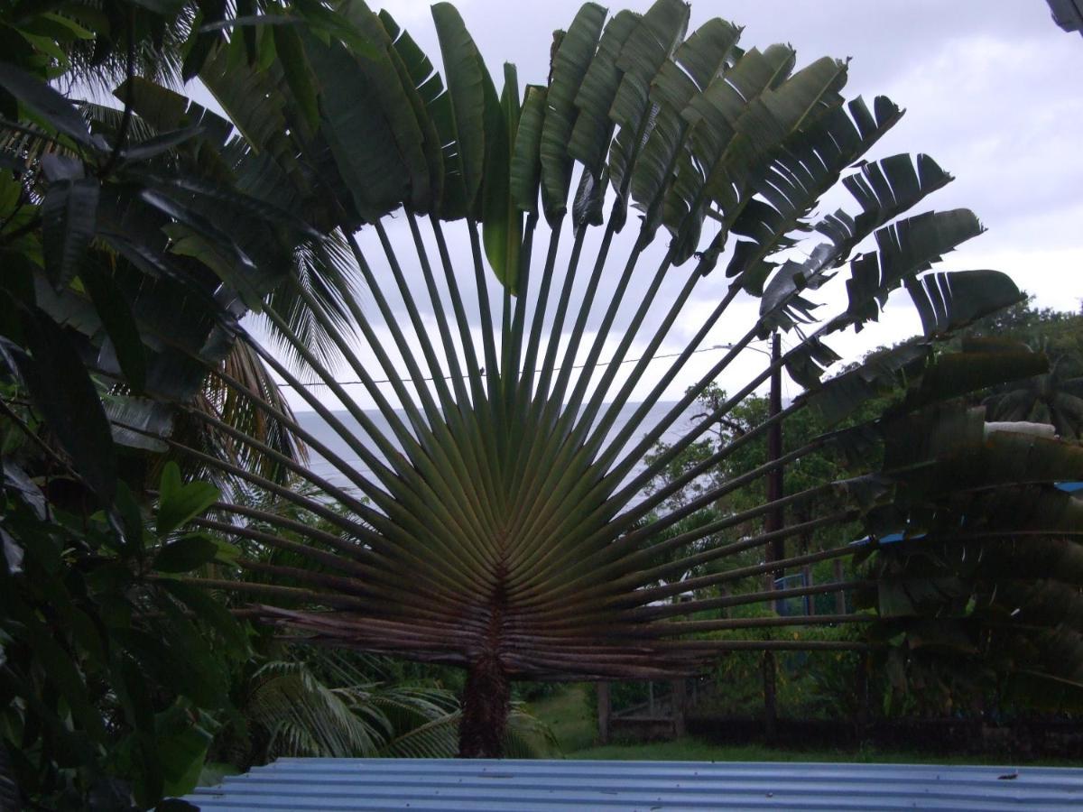 Bluebelize B&B Punta Gorda Buitenkant foto