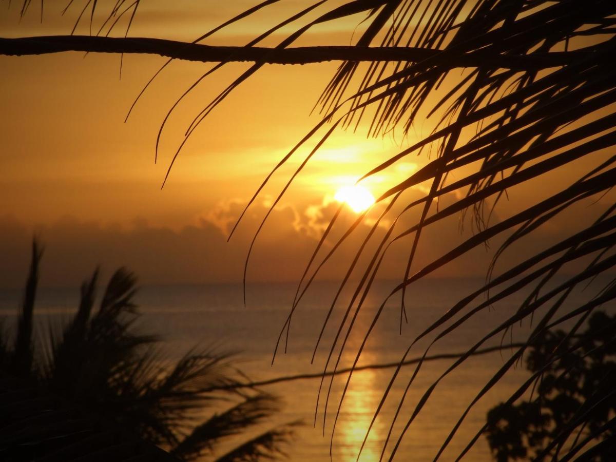 Bluebelize B&B Punta Gorda Buitenkant foto