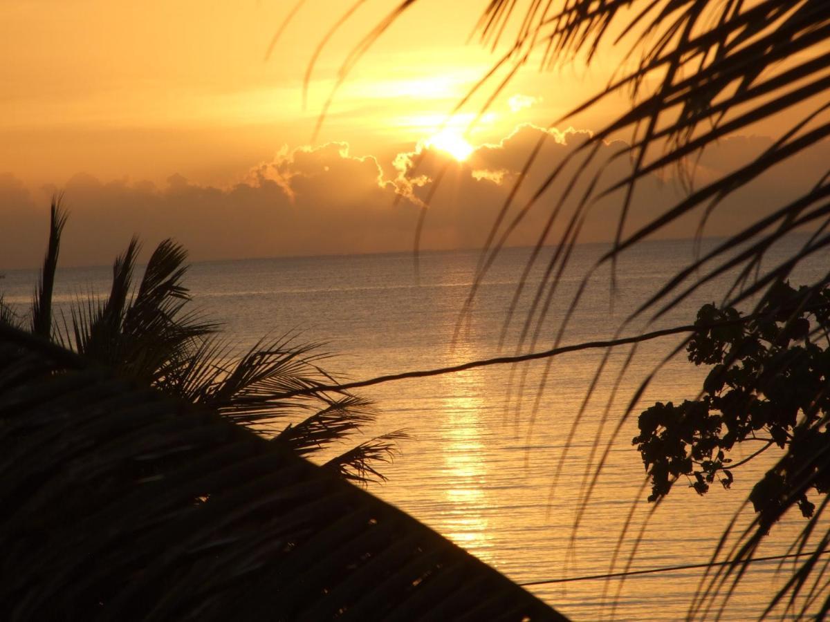 Bluebelize B&B Punta Gorda Buitenkant foto
